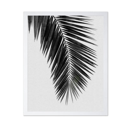 Palm Leaf Black