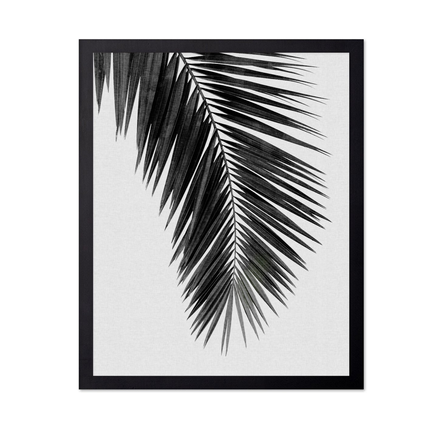 Palm Leaf Black