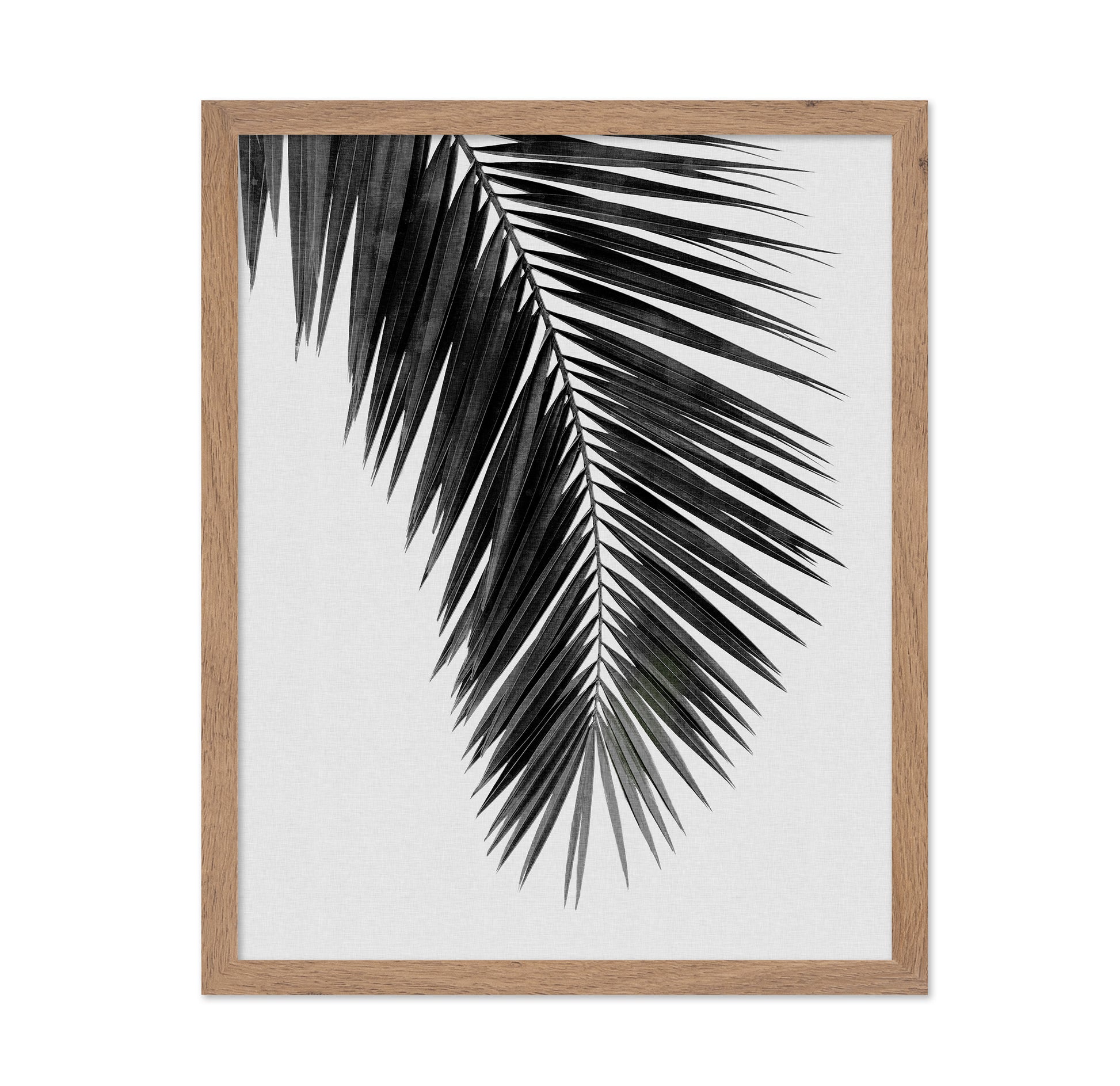 Palm Leaf Black