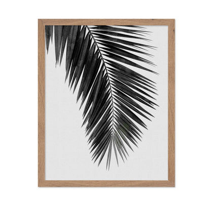 Palm Leaf Black