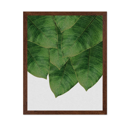 Banana Leaves Cluster