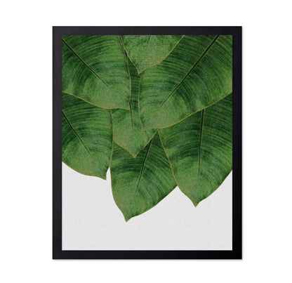 Banana Leaves Cluster
