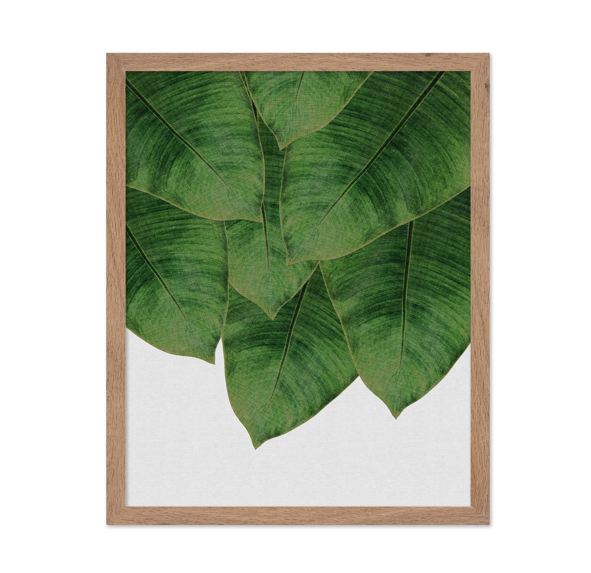 Banana Leaves Cluster