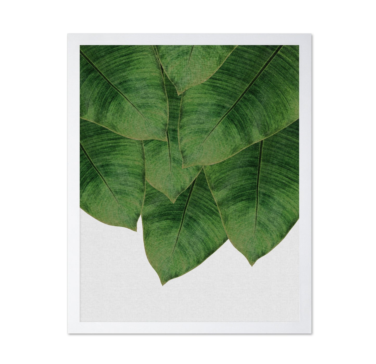 Banana Leaves Cluster