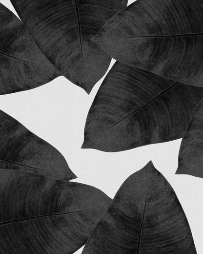 Banana Leaves BW