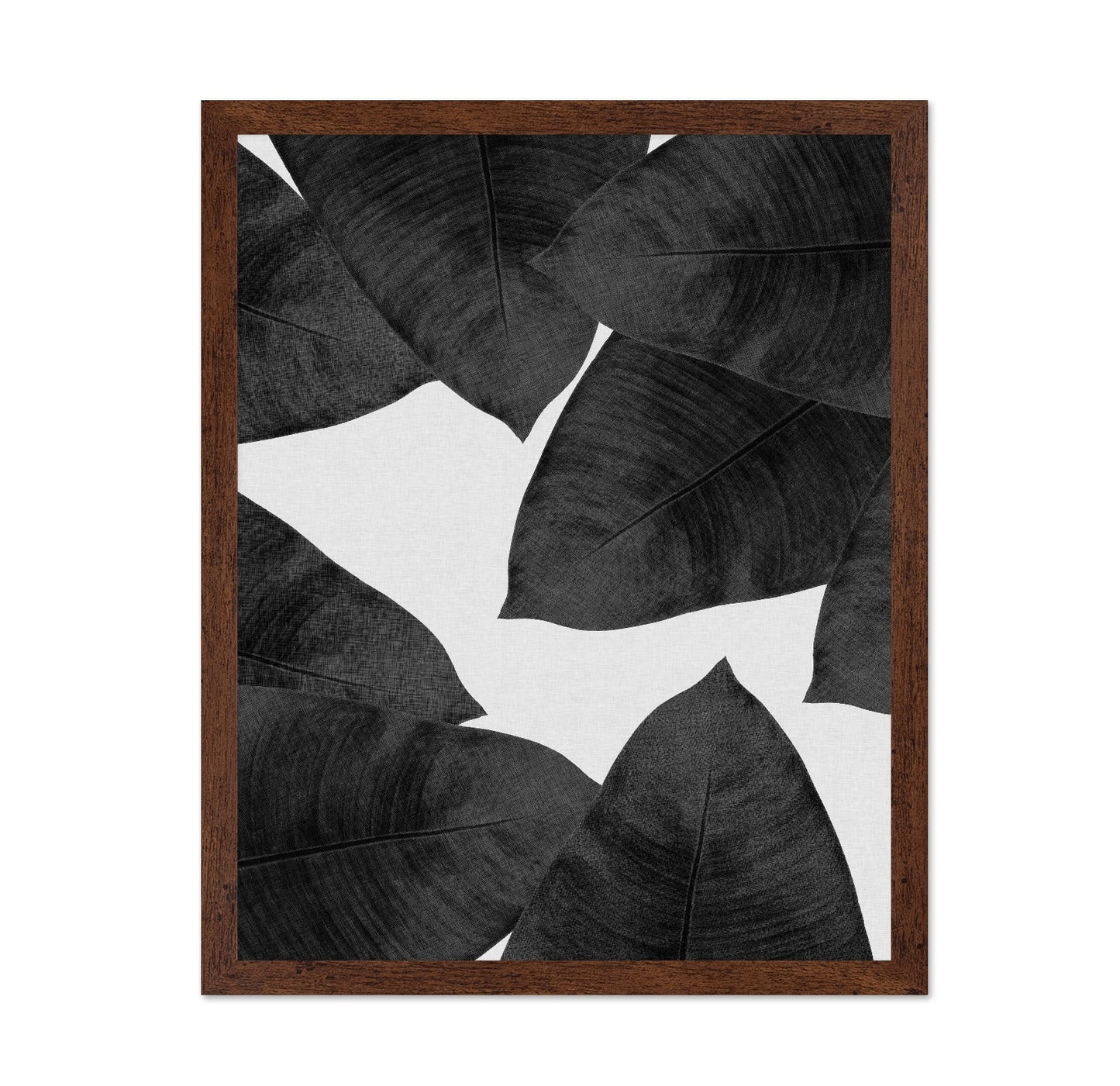 Banana Leaves BW