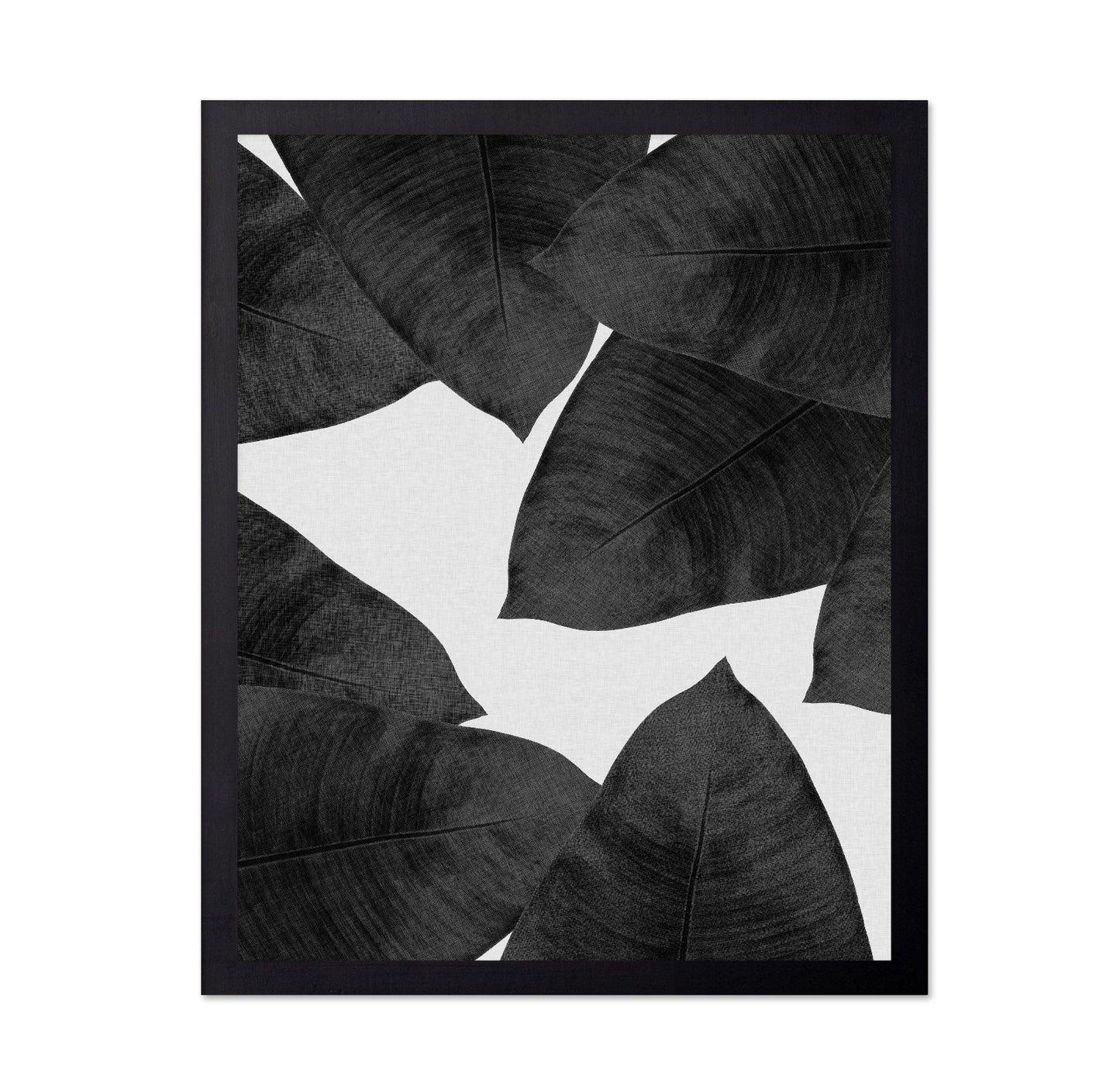 Banana Leaves BW
