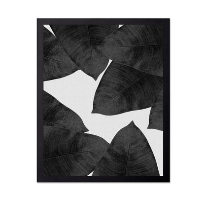 Banana Leaves BW