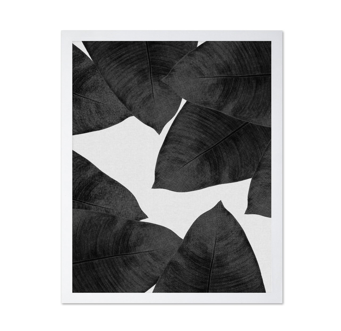 Banana Leaves BW
