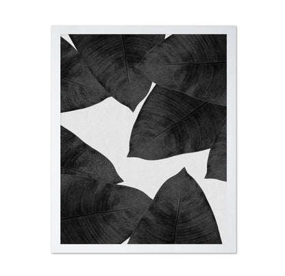 Banana Leaves BW
