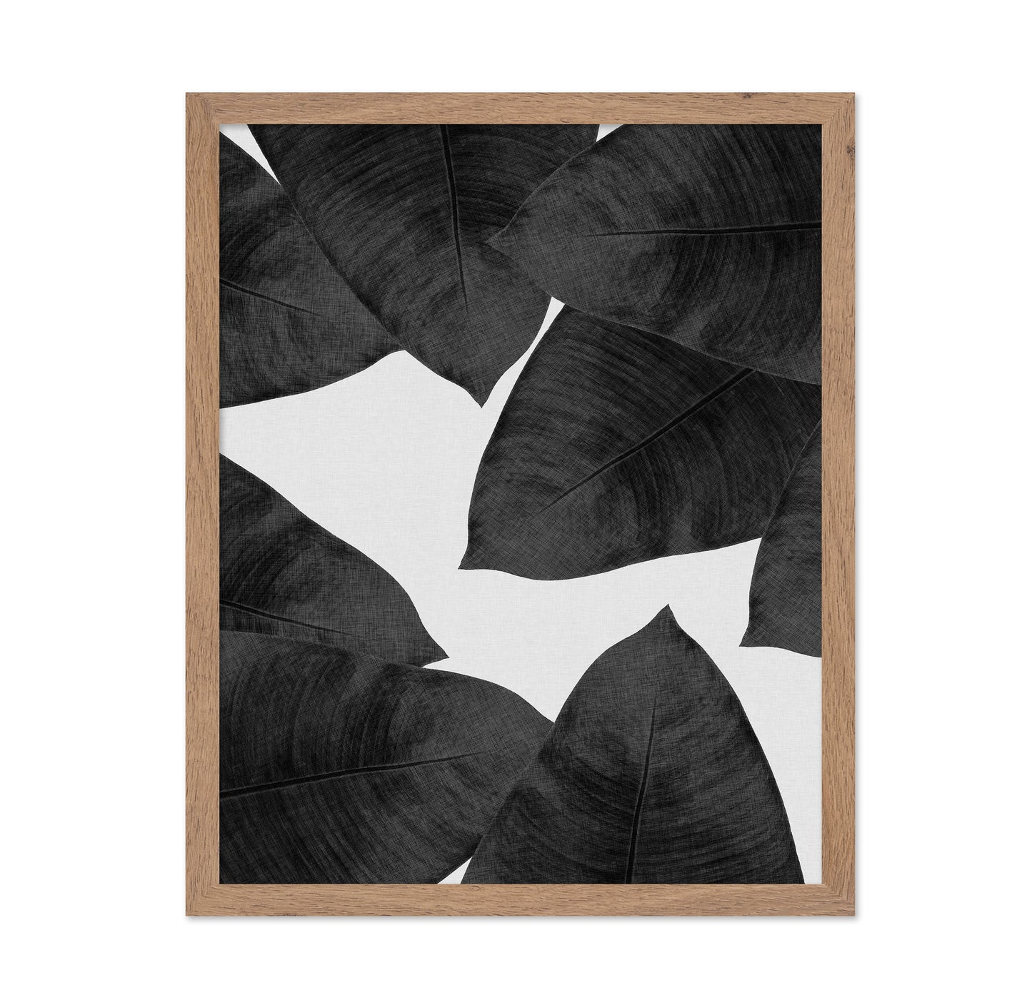 Banana Leaves BW