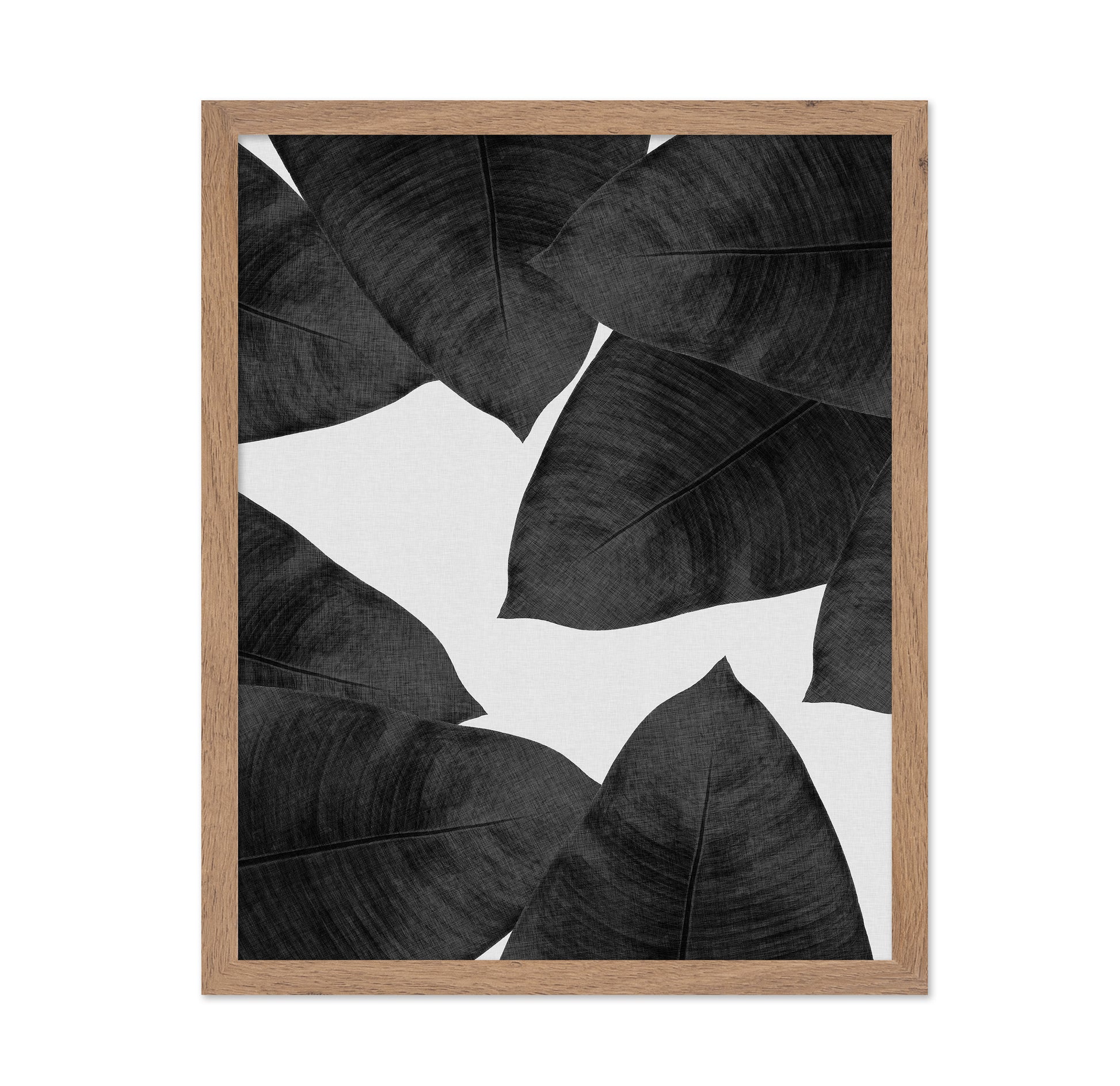 Banana Leaves BW