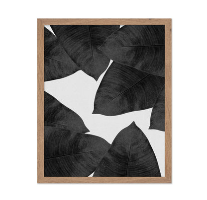 Banana Leaves BW