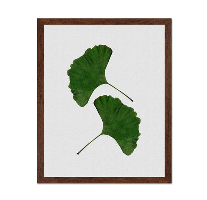 Green Ginkgo Leaves No1