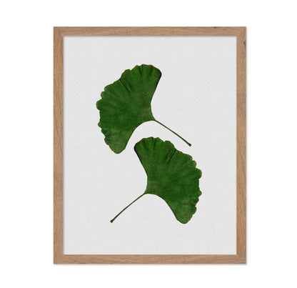 Green Ginkgo Leaves No1