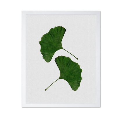 Green Ginkgo Leaves No1