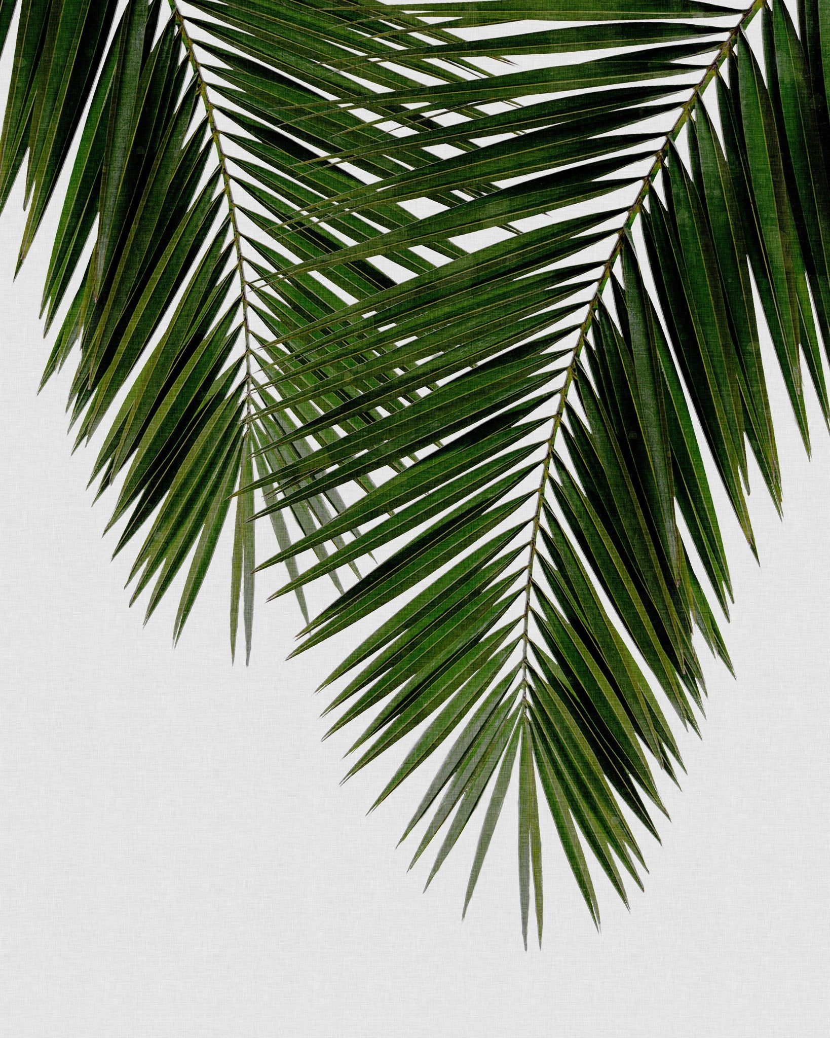 Palm Leaf Detail