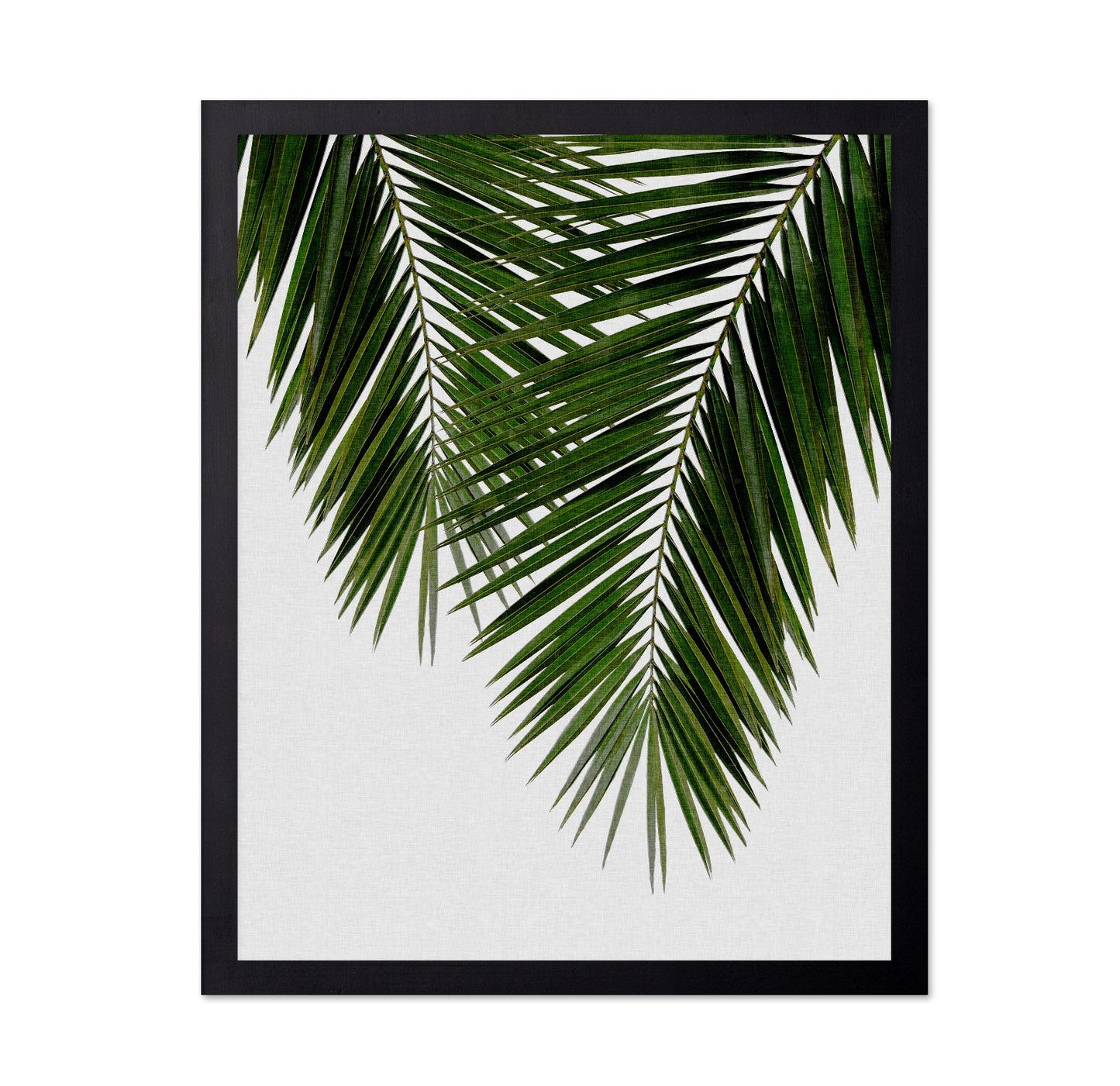 Palm Leaf Detail