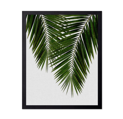 Palm Leaf Detail