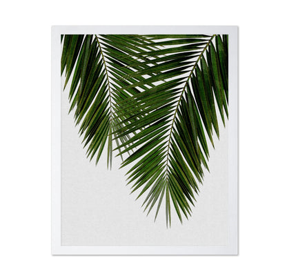 Palm Leaf Detail