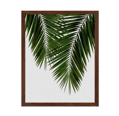 Palm Leaf Detail