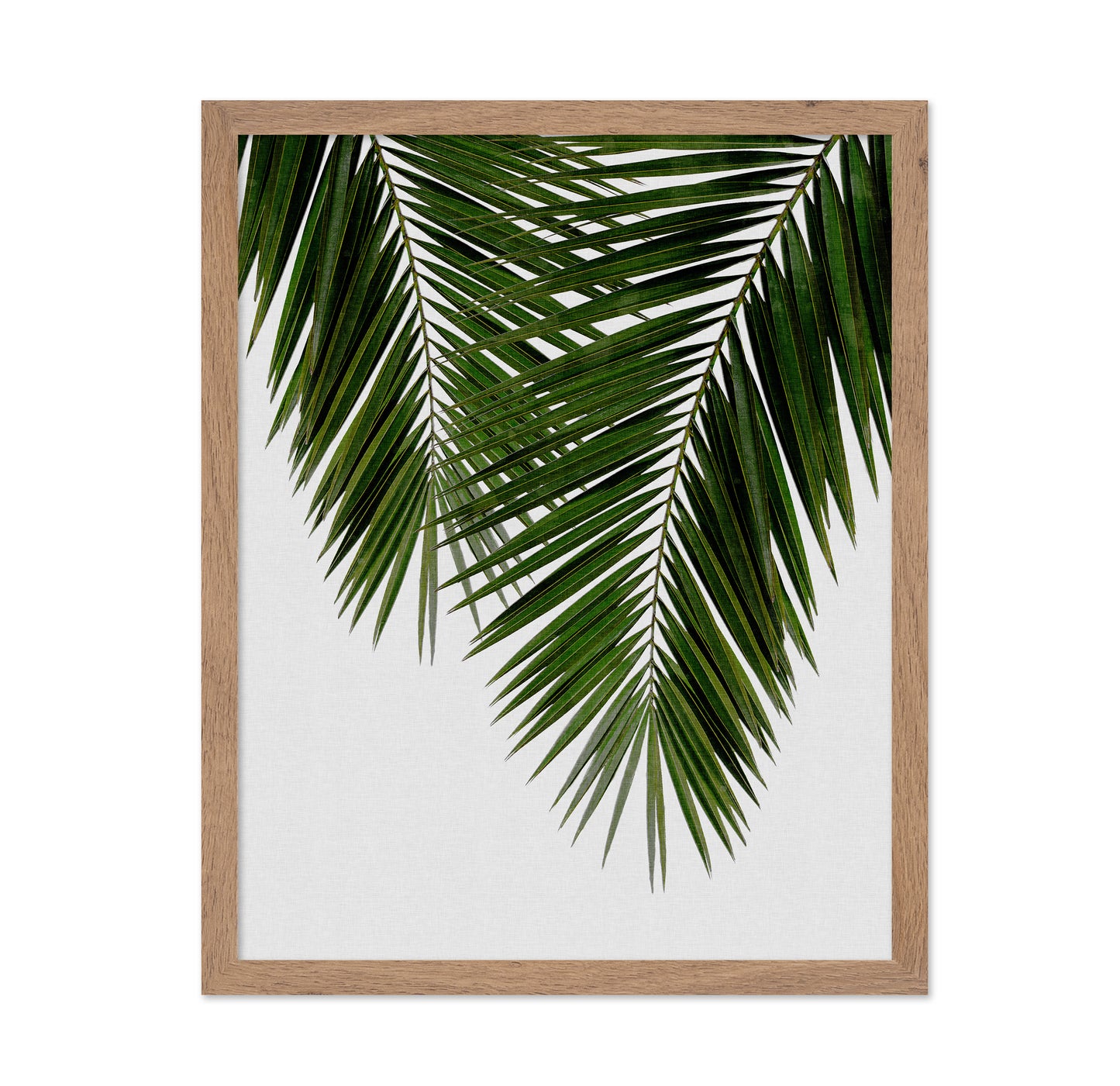 Palm Leaf Detail