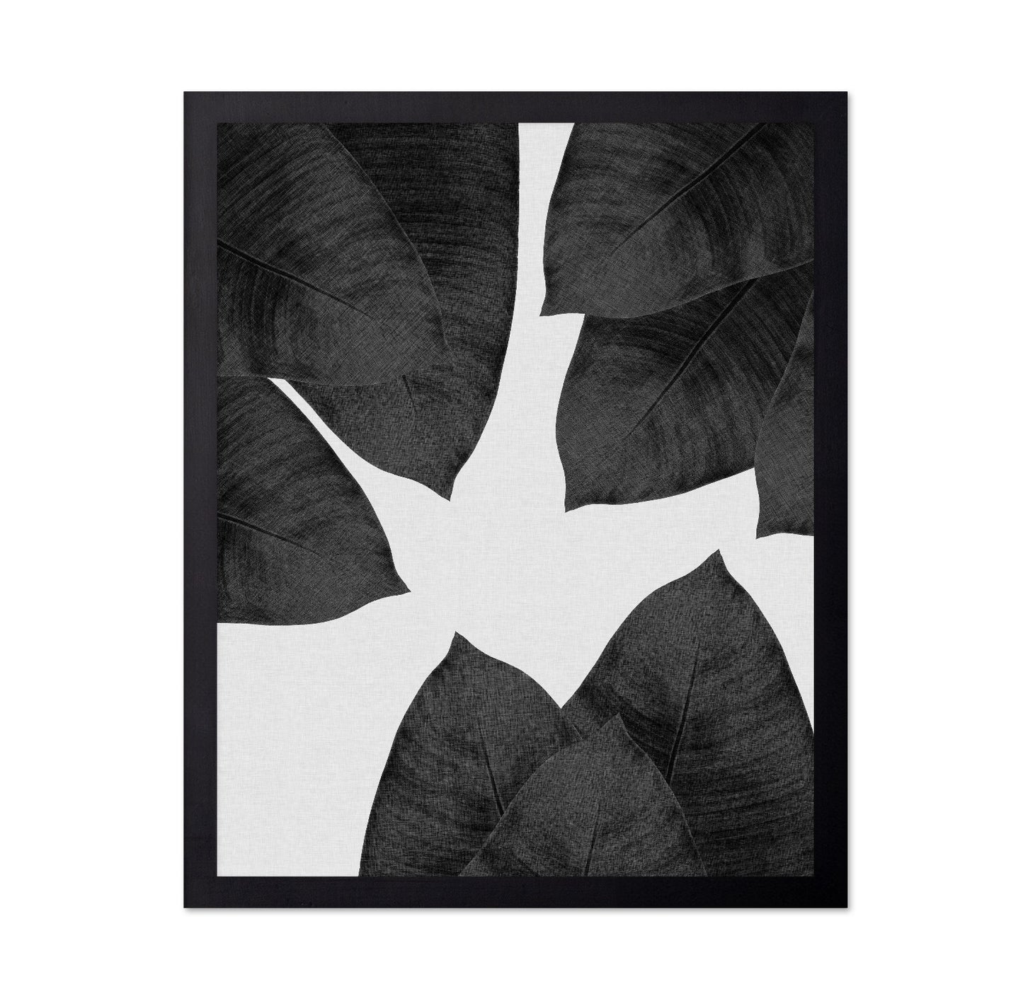 Banana Leaf Black White