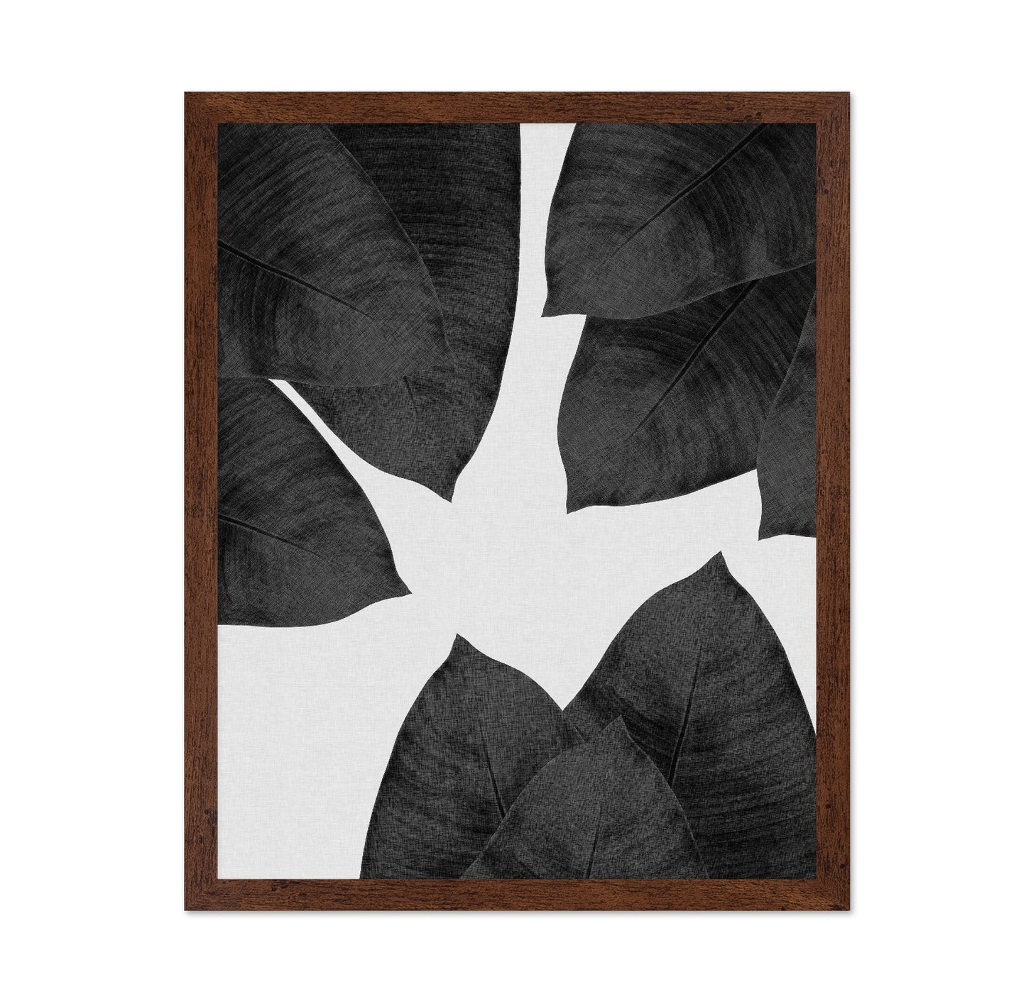 Banana Leaf Black White