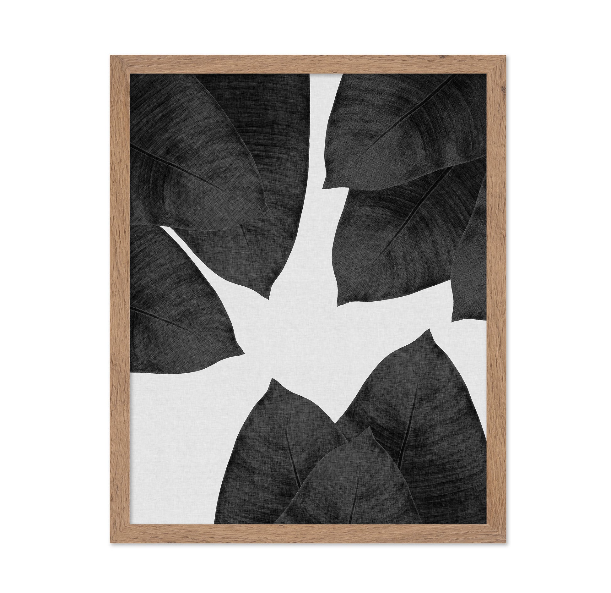 Banana Leaf Black White