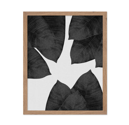 Banana Leaf Black White