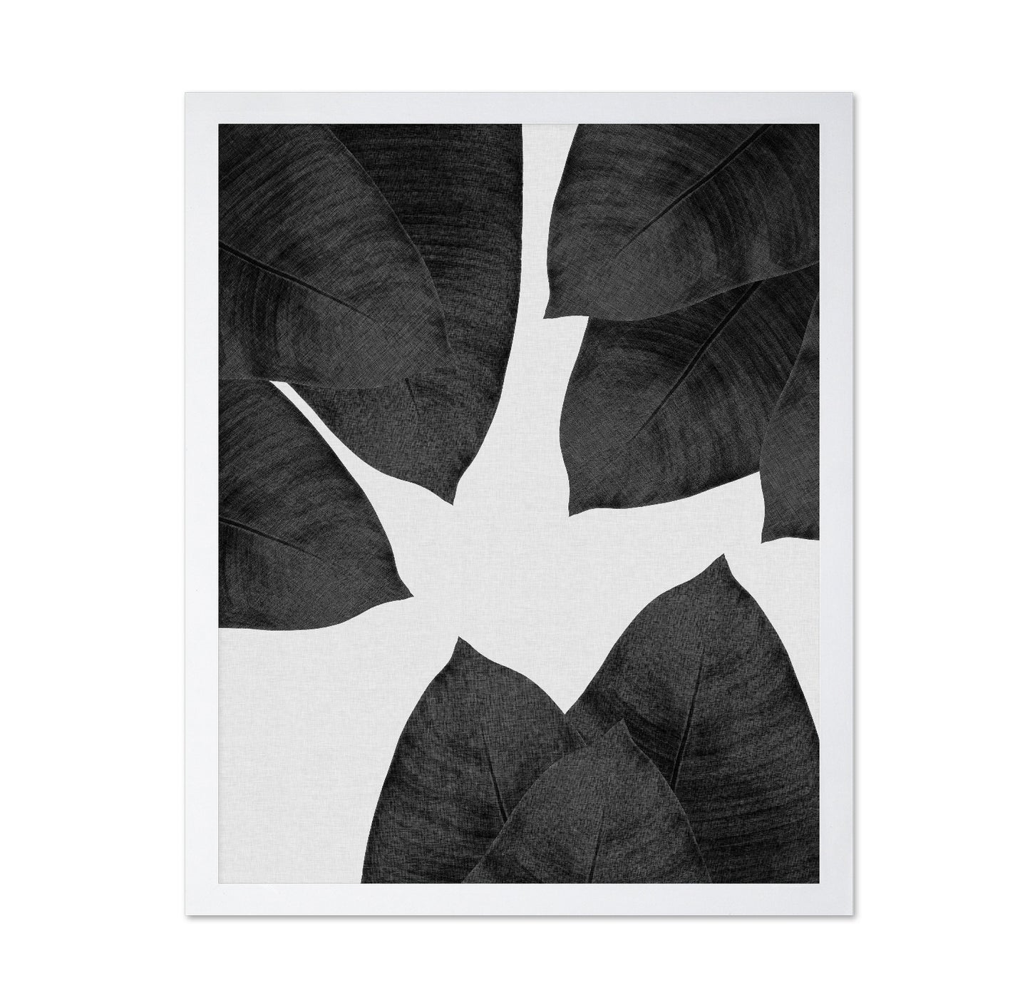 Banana Leaf Black White