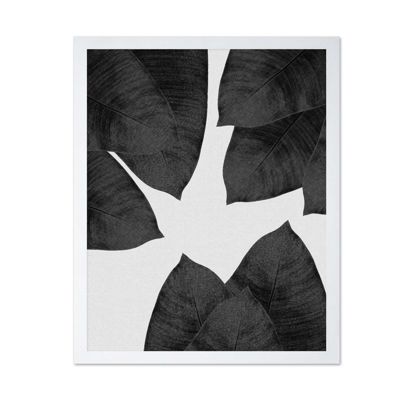 Banana Leaf Black White