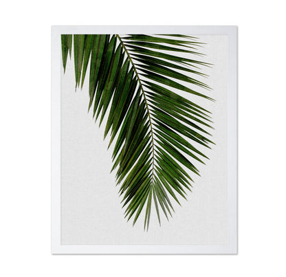Tropical Palm Frond