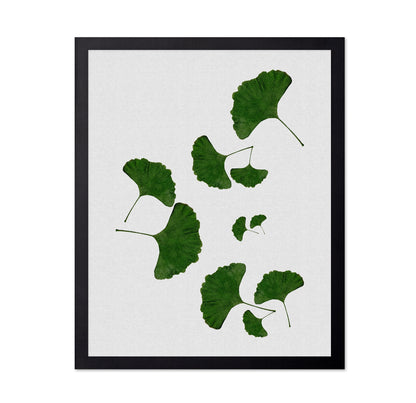 Green Ginkgo Leaves No2