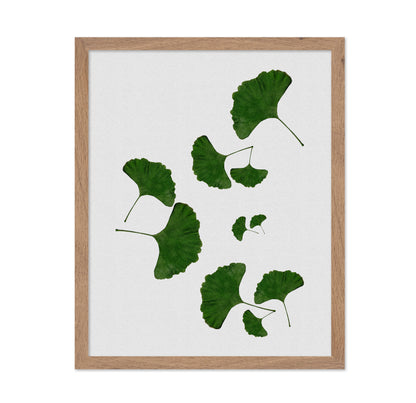 Green Ginkgo Leaves No2