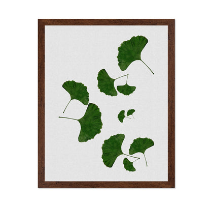 Green Ginkgo Leaves No2