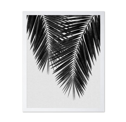 Monochrome Palm Frond