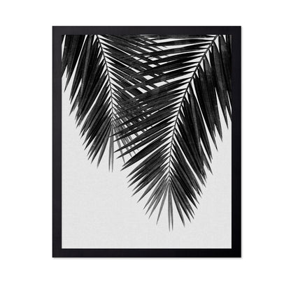 Monochrome Palm Frond