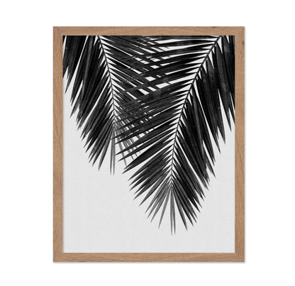 Monochrome Palm Frond