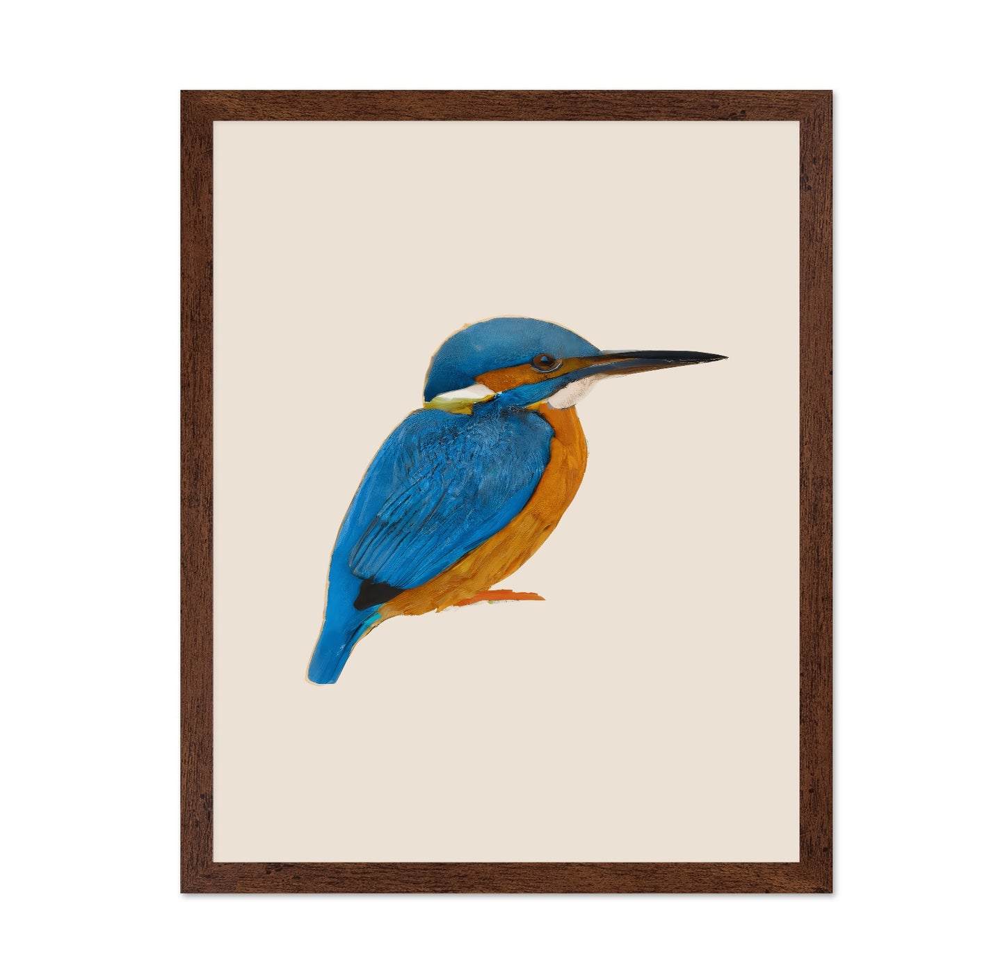 Blue Kingfisher