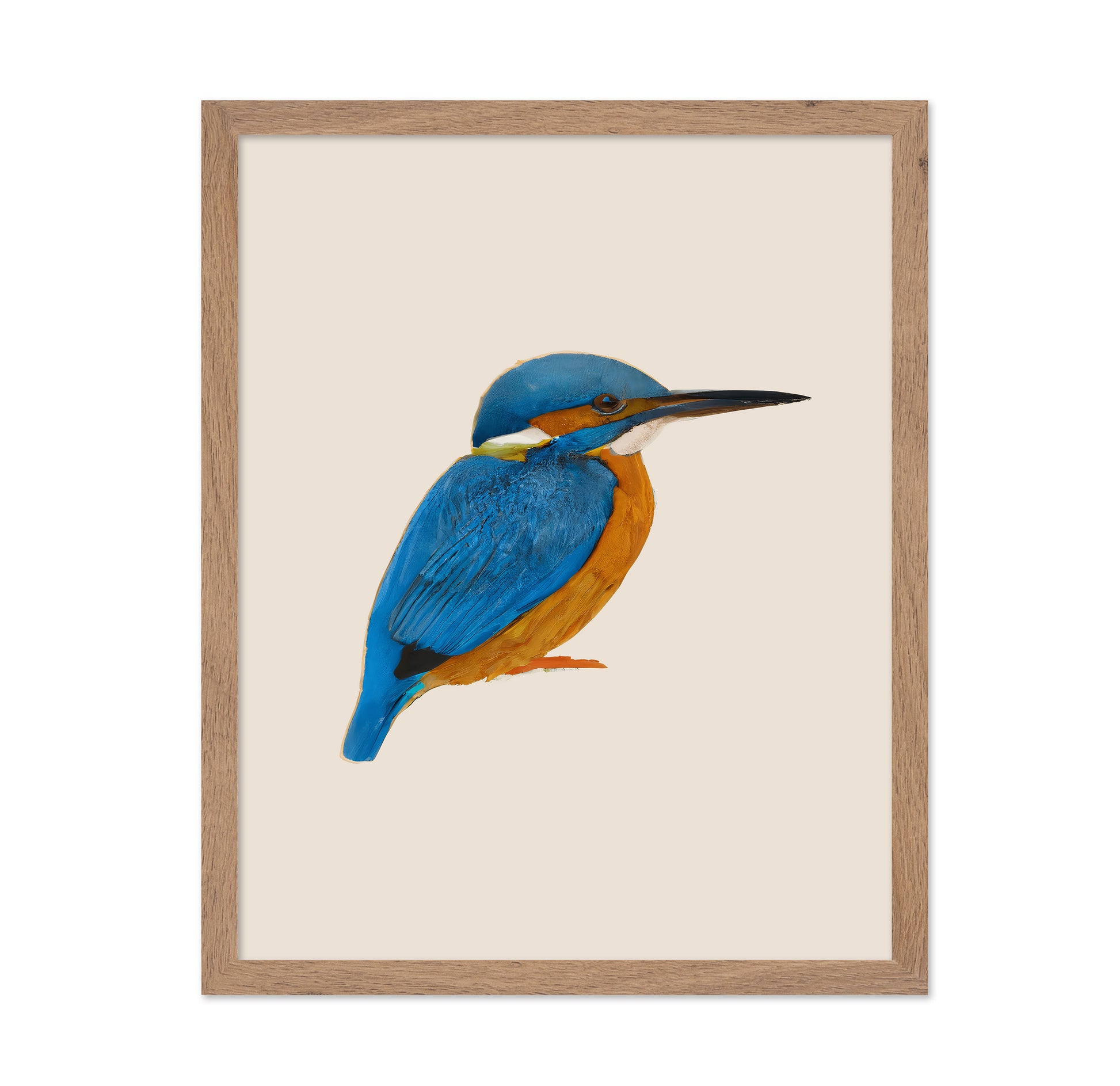 Blue Kingfisher