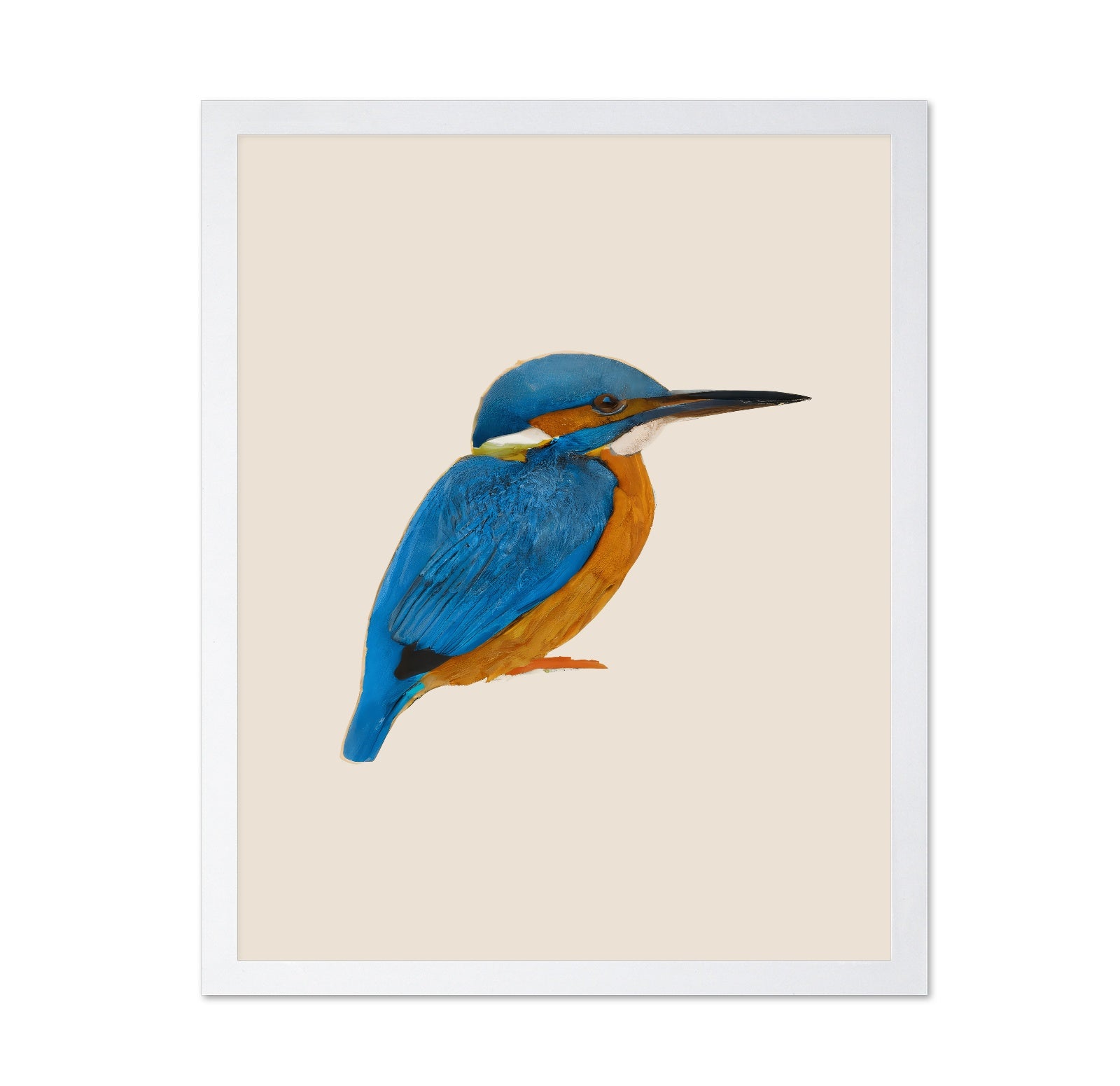 Blue Kingfisher