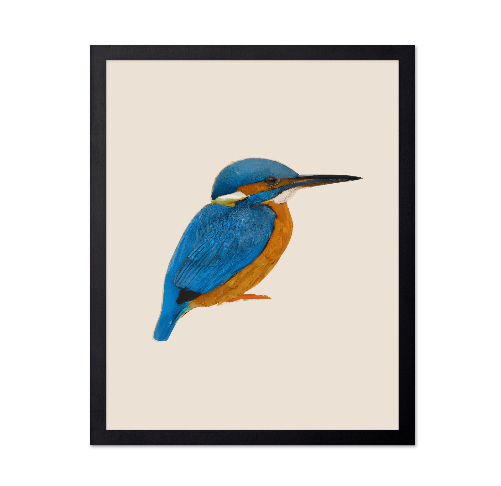 Blue Kingfisher