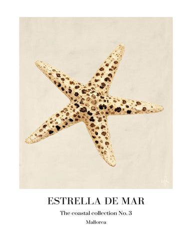 Spotted Starfish