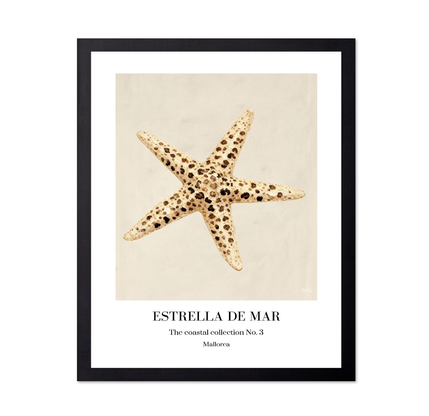 Spotted Starfish