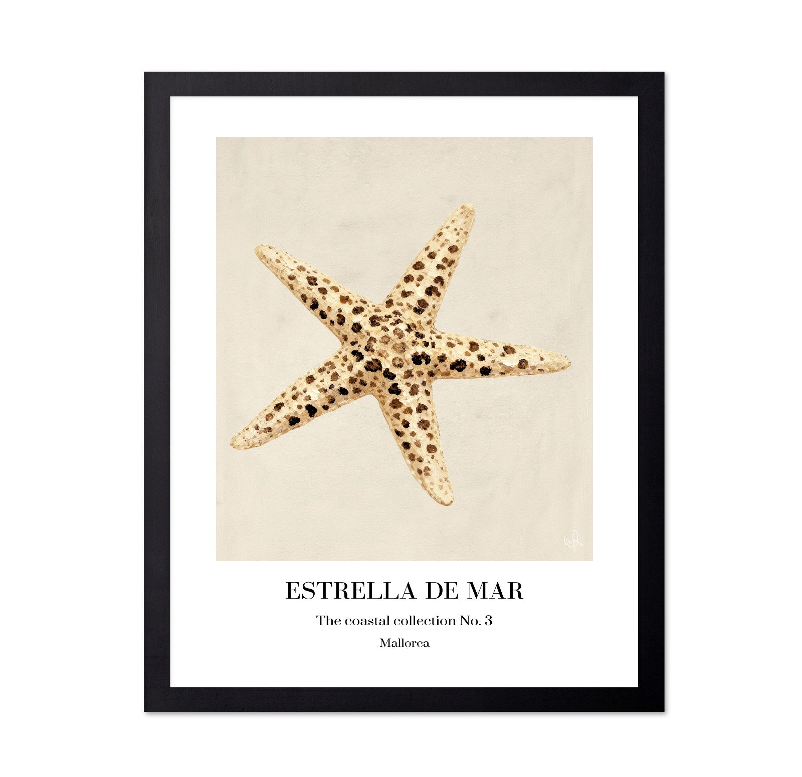 Spotted Starfish