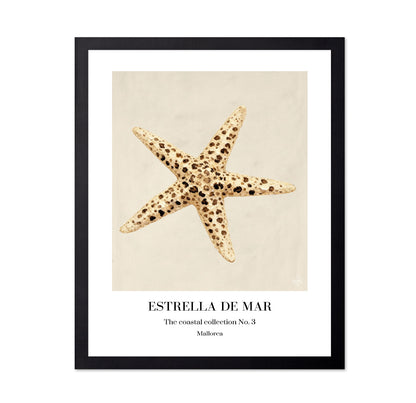 Spotted Starfish