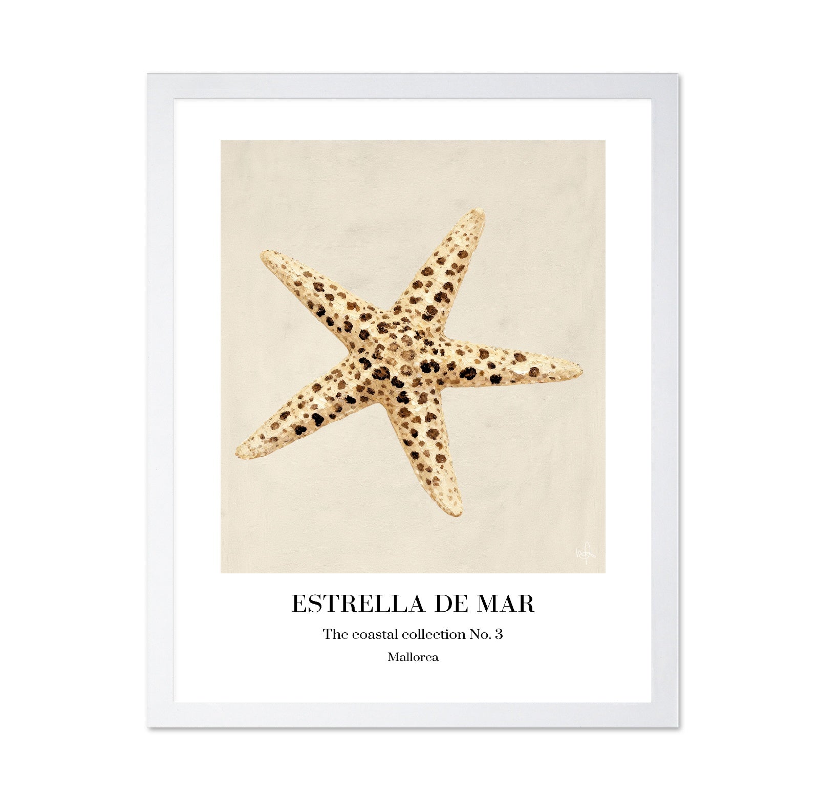 Spotted Starfish