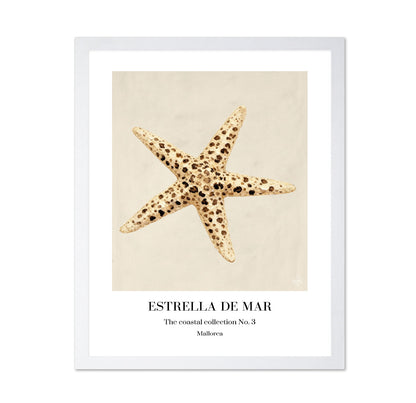 Spotted Starfish