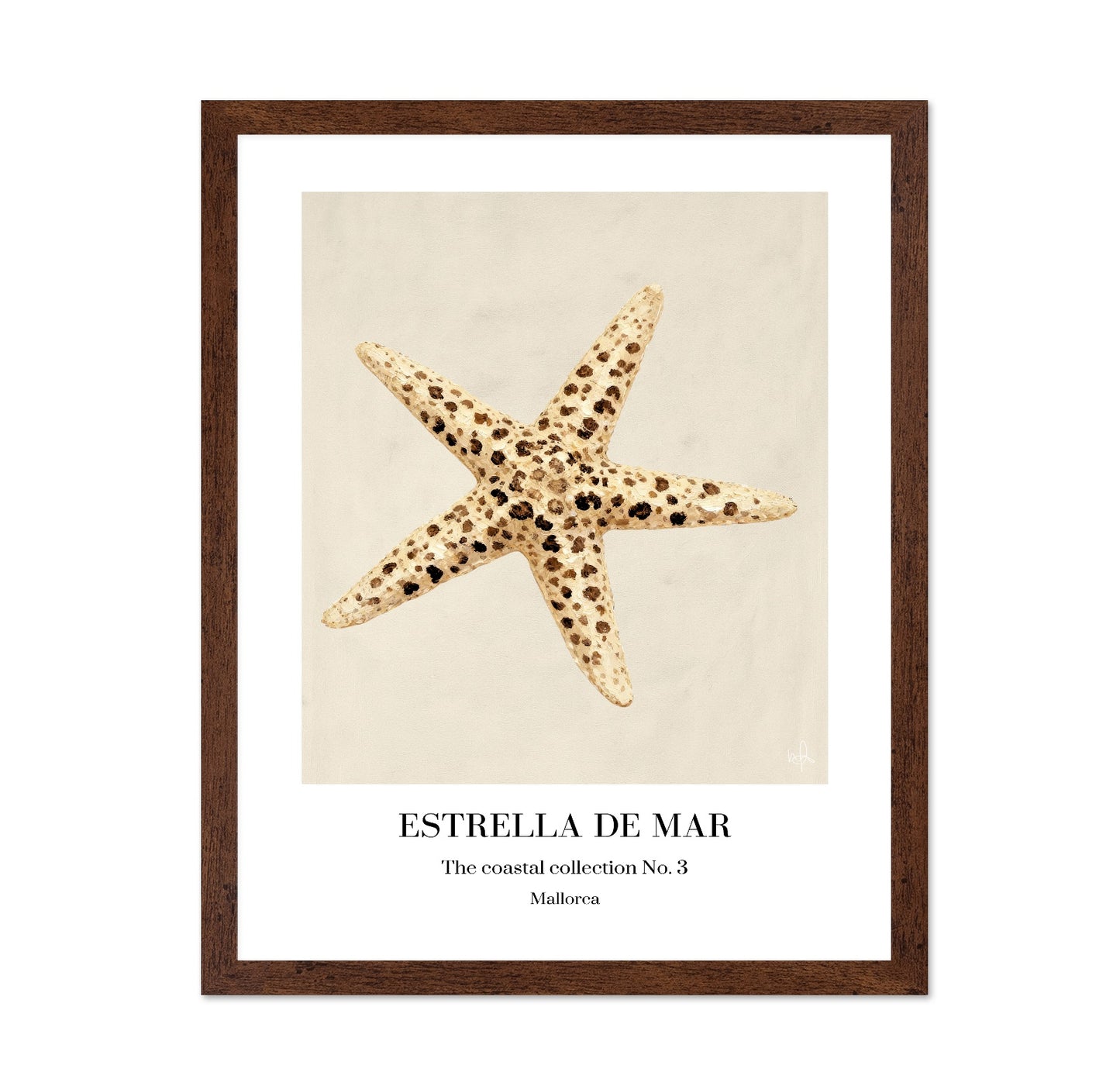 Spotted Starfish